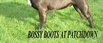 Bossy Boots at Patchdown