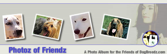 Photoz of your Friendz - A photo album for the friends of DogBreedz.com