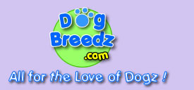 DogBreedz.com homepage