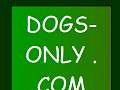 Dogs Only Photo