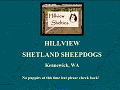 Hillview Shetland Sheepdogs (Washington, USA) Photo